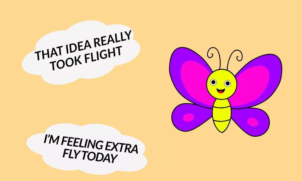 Butterfly Puns and Jokes