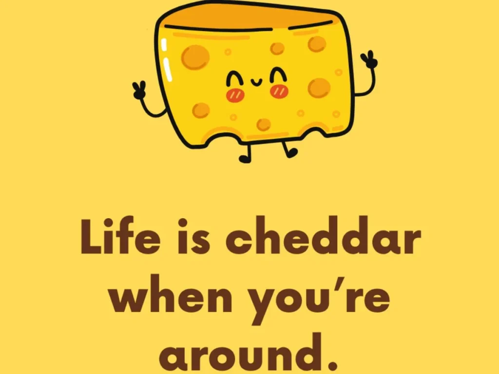 300+ Cheese Puns That Are Too Gouda to Handle