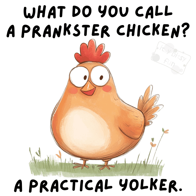 Funny Chicken Jokes for Adults