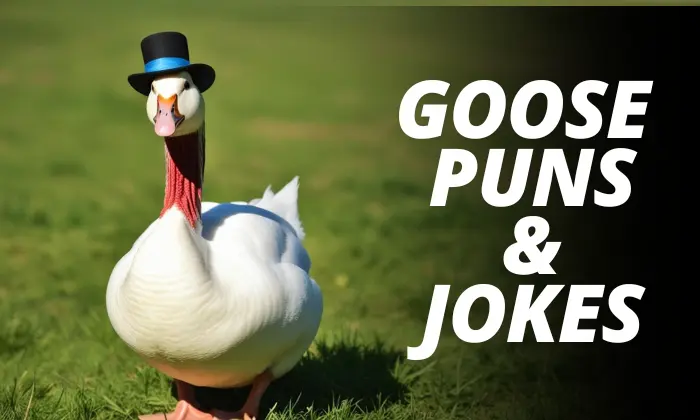 Goose Puns and Jokess