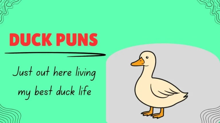 Funny Duck Puns, One Liners