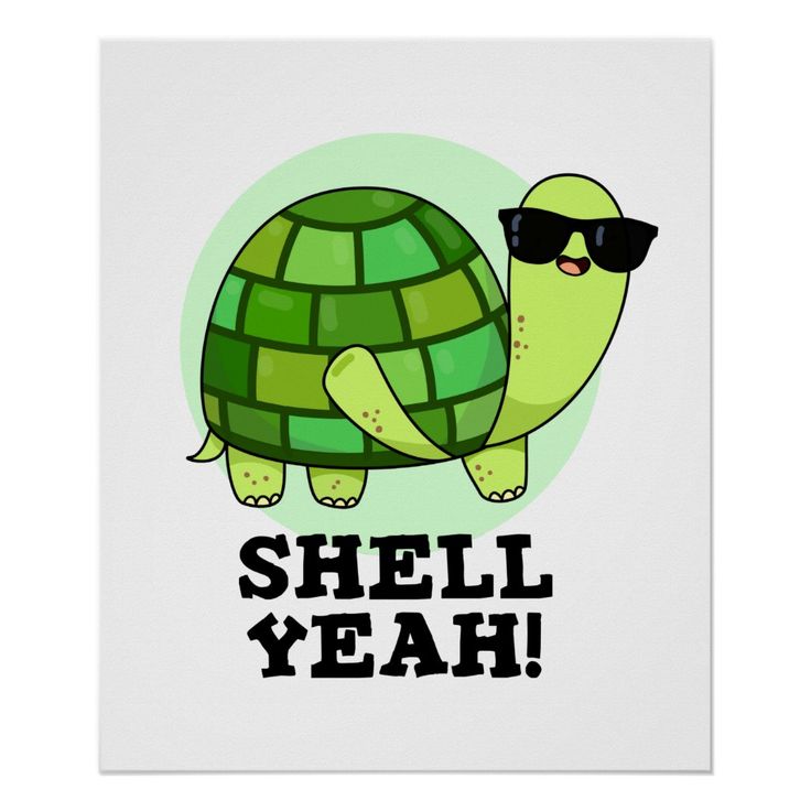 Turtle Puns, One Liners